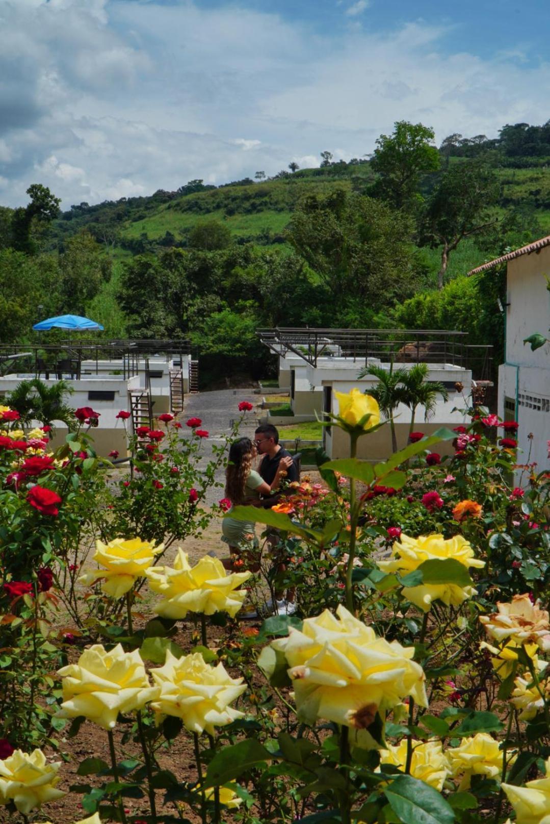 Hotel Cielo Abierto Glamping Valle de San José Exteriér fotografie